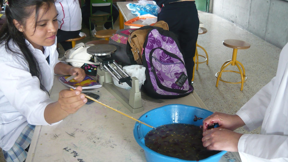 P1070344.JPG