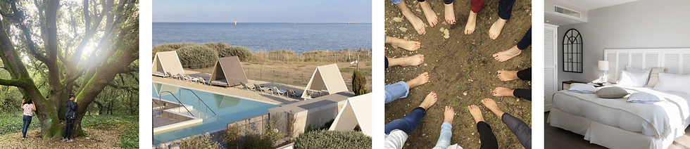 260503 frise ile de re nature.png