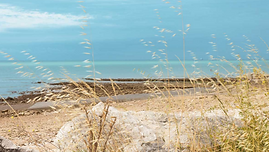 alma-mundi-ile-de-re-nature-relais-thalasso.png