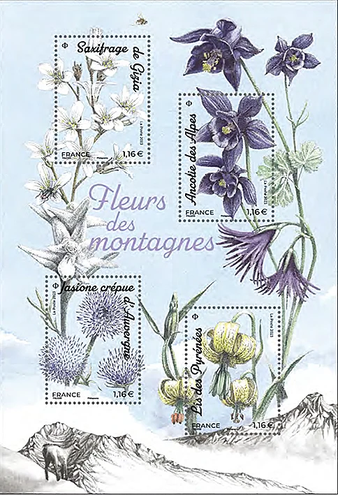 Fleurs_des_montagnes_BF_2023.webp
