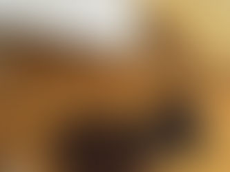 The Juniper & Oak Wellness Weekly