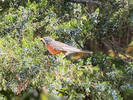 The Upside-Down Kingdom of God