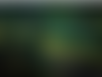 L'évolution et l'énergie