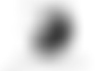 Le Féminin et le Masculin