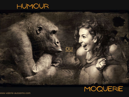 Humour vs Moquerie
