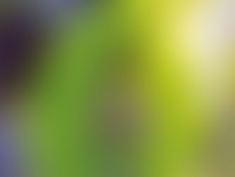 Les 4 ennemis de l'homme de savoir