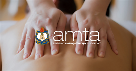 2018 AMTA Year In Review