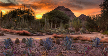Botanic Garden Phoenix