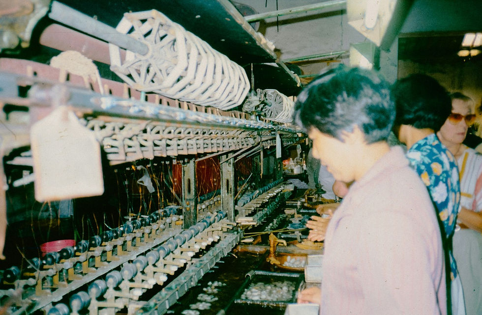 Why MSMEs Are the Heart of the Global Economy?