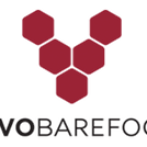 partnerLogo-Vivo_edited.png