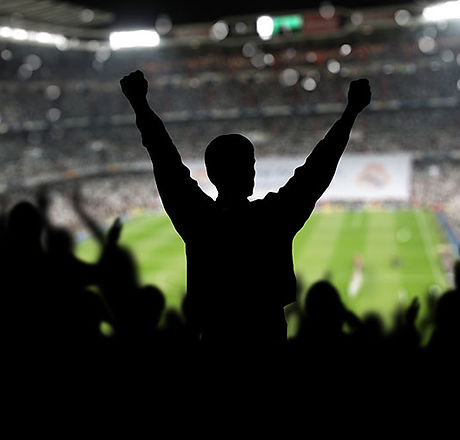 Crowd Silhouette