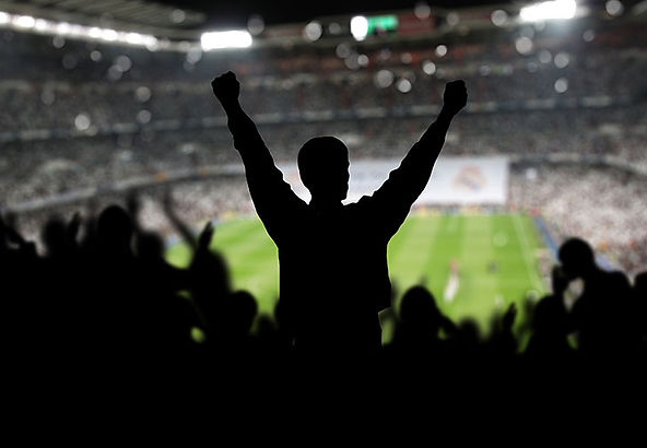 Football supporter cheering in the crowd