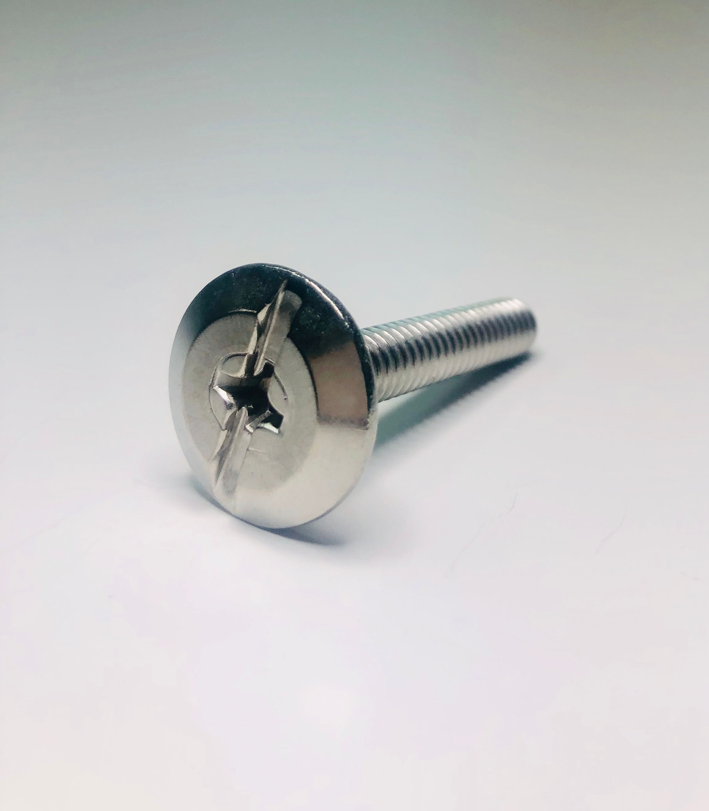 Sidewalk Screw (pack of 100)
