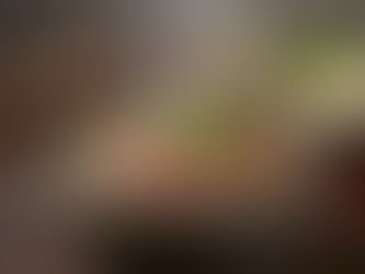 Stone Bowl Phở - Meet the Pho in Edmonton