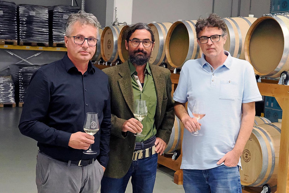 Jurašić, Klasiček i Hudolin - partneri u vinariji Iuris