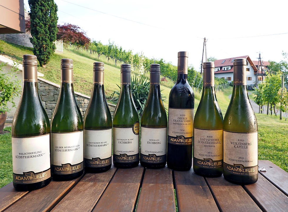 Adam-Lieleg - austrijska vinarija u kojoj nastaje jedan od najboljih sauvignona na svijetu