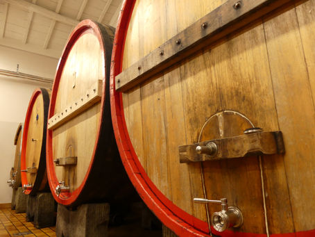 Ekološki uzgoj, održiva proizvodnja hrane, tradicionalne metode uzgoja i moderan pristup tržištu pokreću talijanske ekopoljoprivrednike – što sve možemo naučiti od susjeda