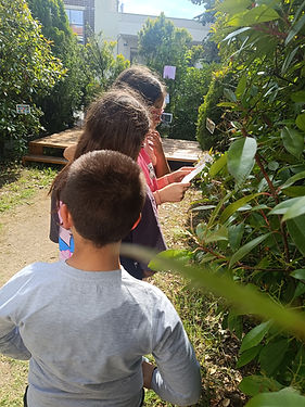 IMG_20250528_170450.jpg