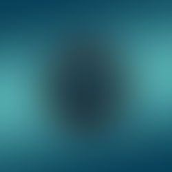 Adobe Dreamweaver CC 2019 V19.2.0.11274 X Ultimate Windows Torrent 64 Keygen Iso