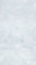 Delphine.jpg