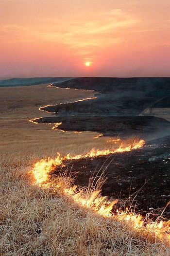 Prairie en feu au coucher de soleil