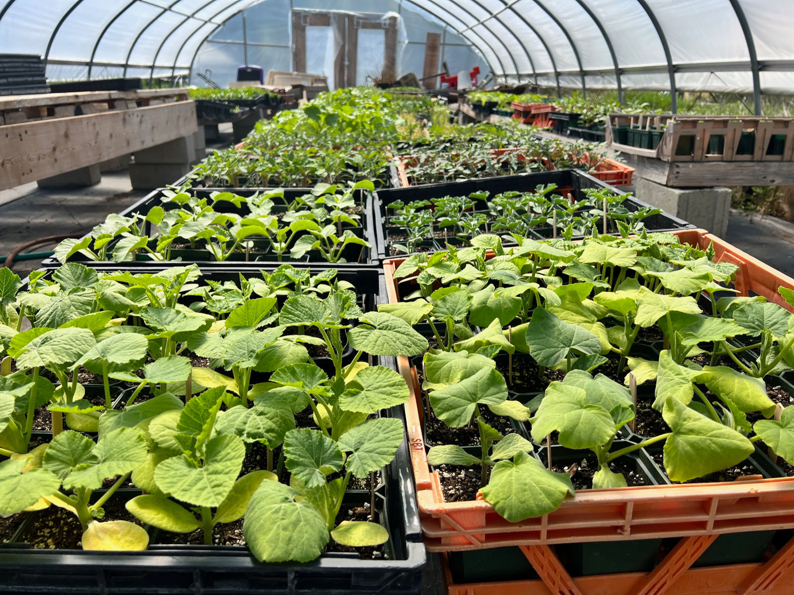 Sterling Organic Farm LLC