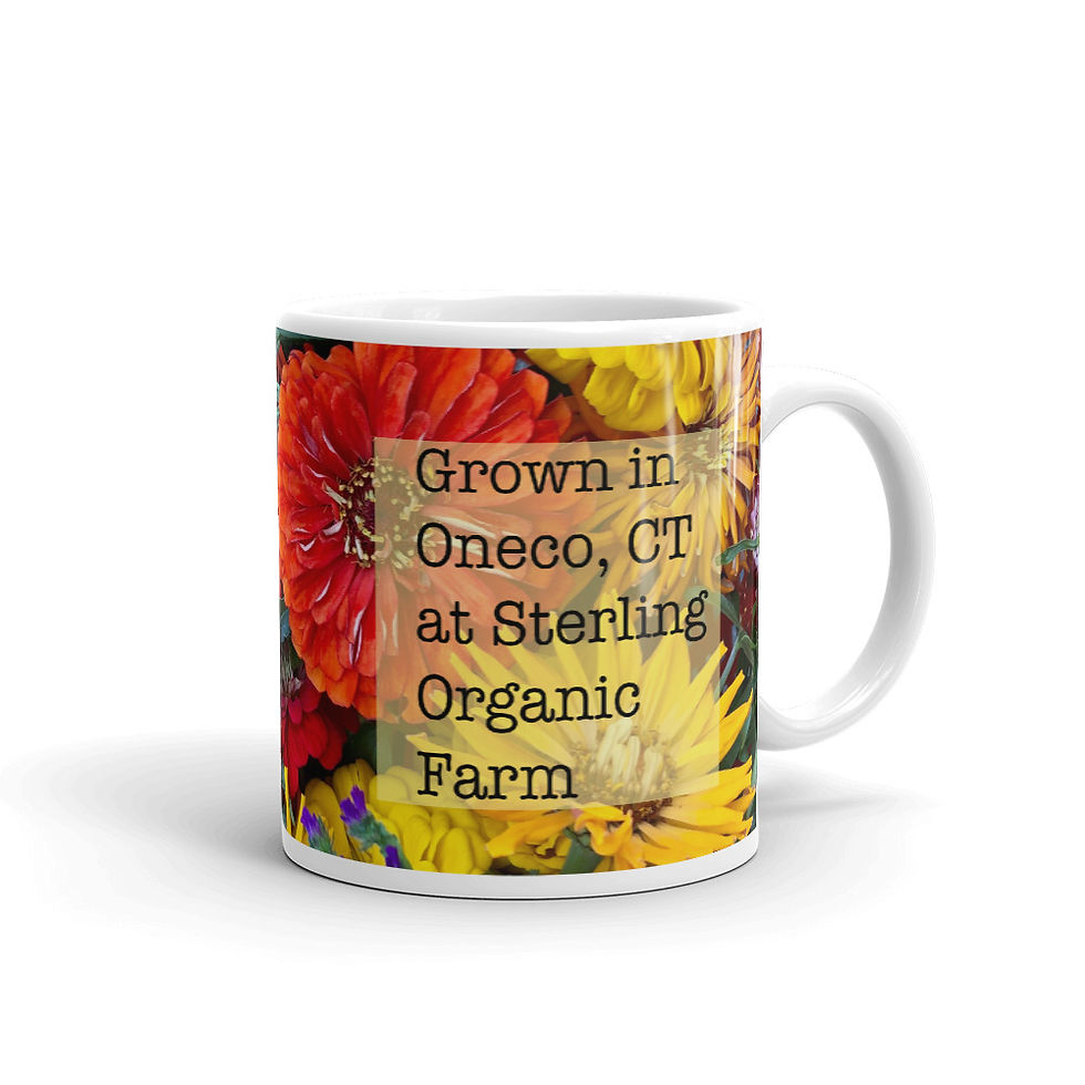 Thumbnail: Grown in Oneco, CT Mug