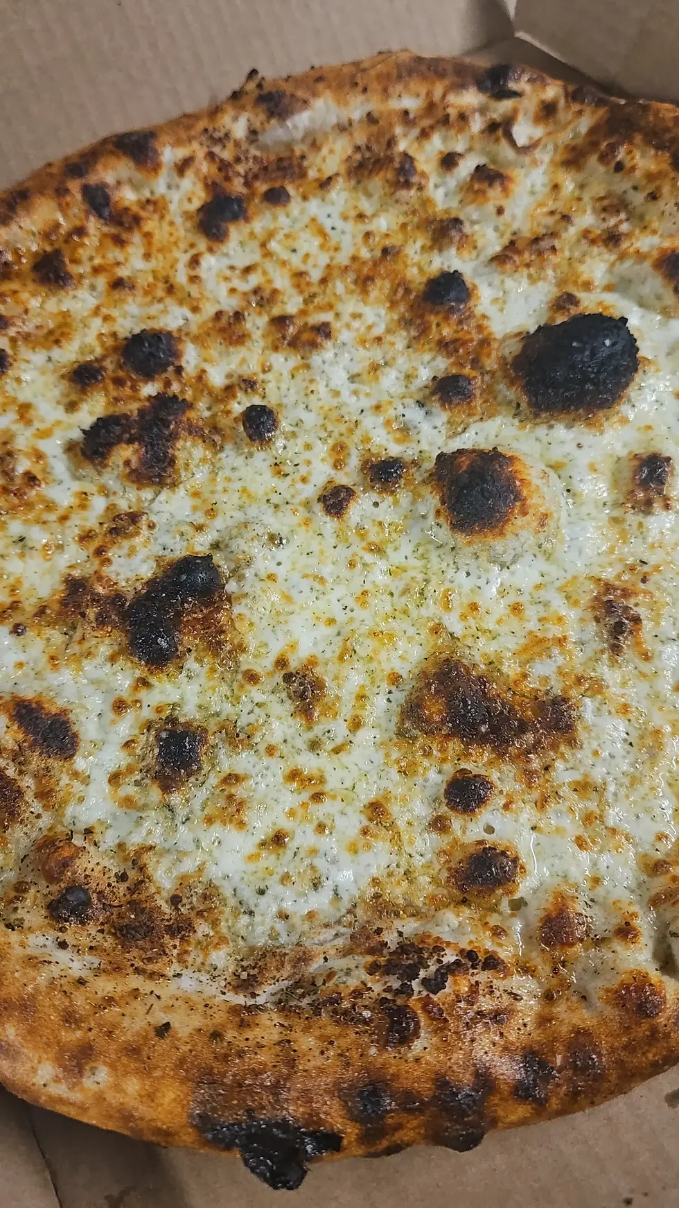 Pizza night at Cortland Brighton Bay