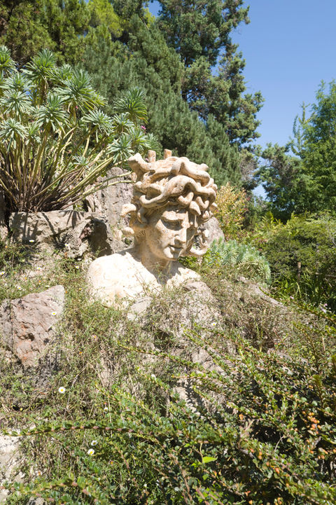 Medusa - Anonymous