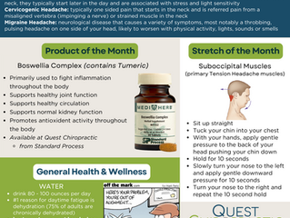 Chiropractic Compass - Oct 2023