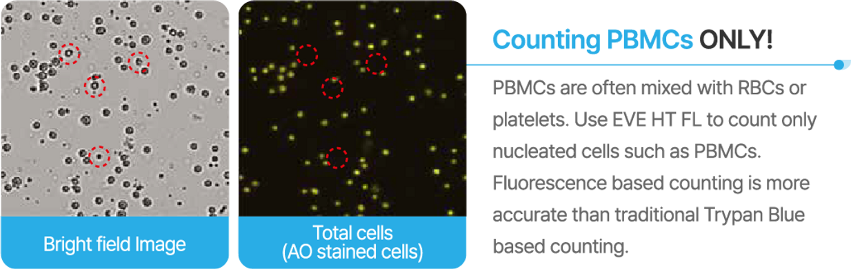 48-channel counting plate and multichannel pipette