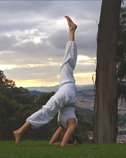 Sirsasana.png