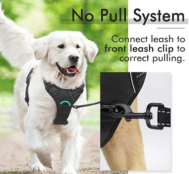 harness.jpg