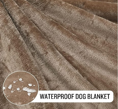 blanket.jpg