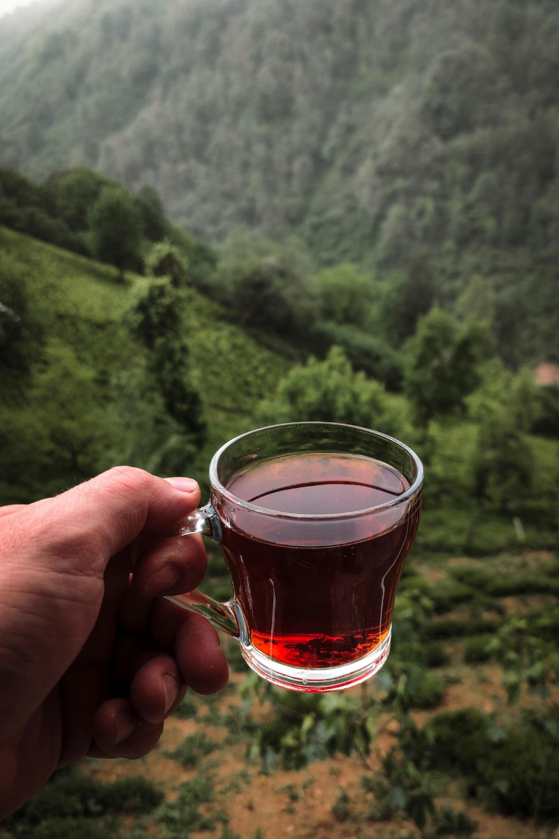 Moving mountains with Oolong Tea from Ezekiel's Garden