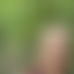 bear run nature reserve (orange trail)