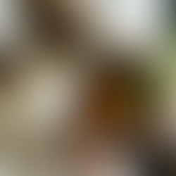 Lemon-aide to the rescue