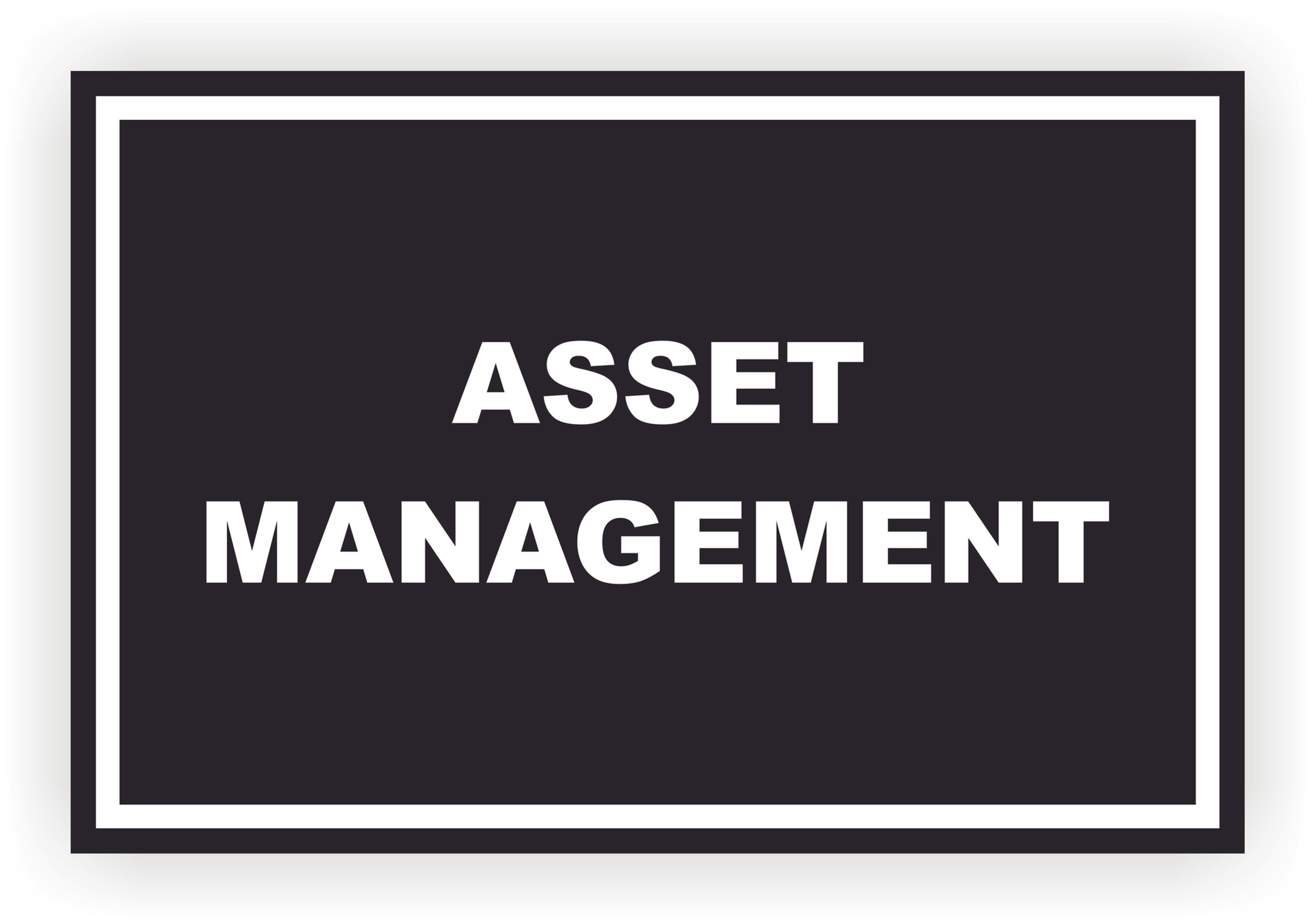 INSTITUTIONAL-SIGN-ASSET MANAGEMENT