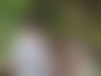 ¿Sabemos realmente que es lo que sucede con nuestros hijos?