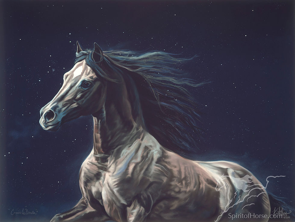 Cruceiro la Estrella