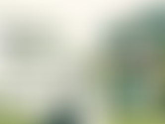 How to Find the Best Dispensary Near You in Washington DC (And What to Look For)