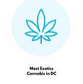 Most Exotics Cannabis in DC.jpg