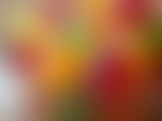 Features of Camino Gummies: Exploring a Tasty Option