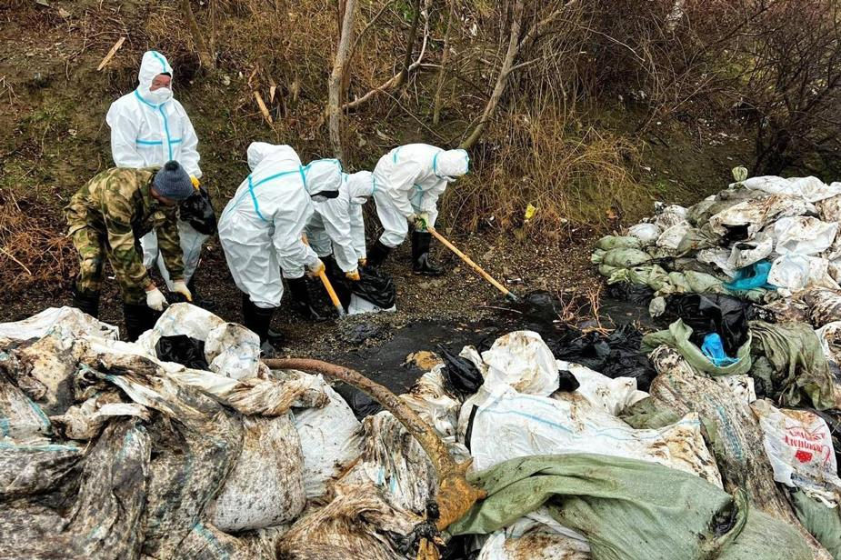 Кремль не стал вводить ЧС из-за утечки мазута в Черном море, СК поручили найти виновных