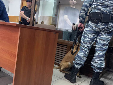 Семь лет за данные ООН и слова сострадания: суд отправил в колонию зампреда «Яблока»