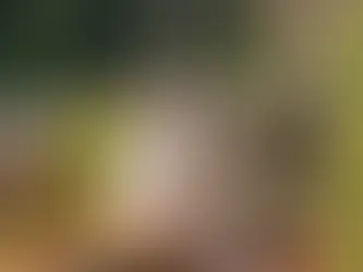 Христианские общины шокированы кадрами вандализма солдат ЦАХАЛ в Ливане