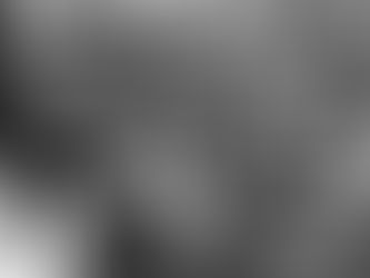 Падение монархии в России: как на самом деле произошла Февральская революция