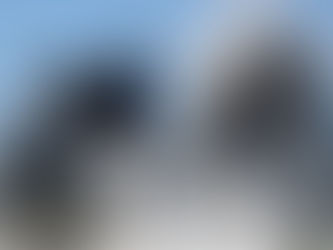 80% зданий в Газе разрушены или повреждены армией Израиля