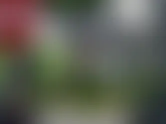 Tragedy Strikes Kentucky: Gunman Kills Two Women in Church