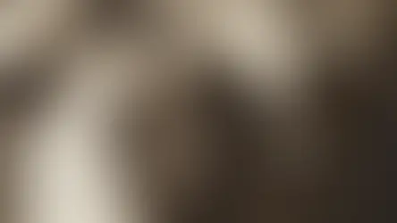 Тайная история сотрудничества СССР и Германии: раздел Европы и пакт Молотова-Риббентропа